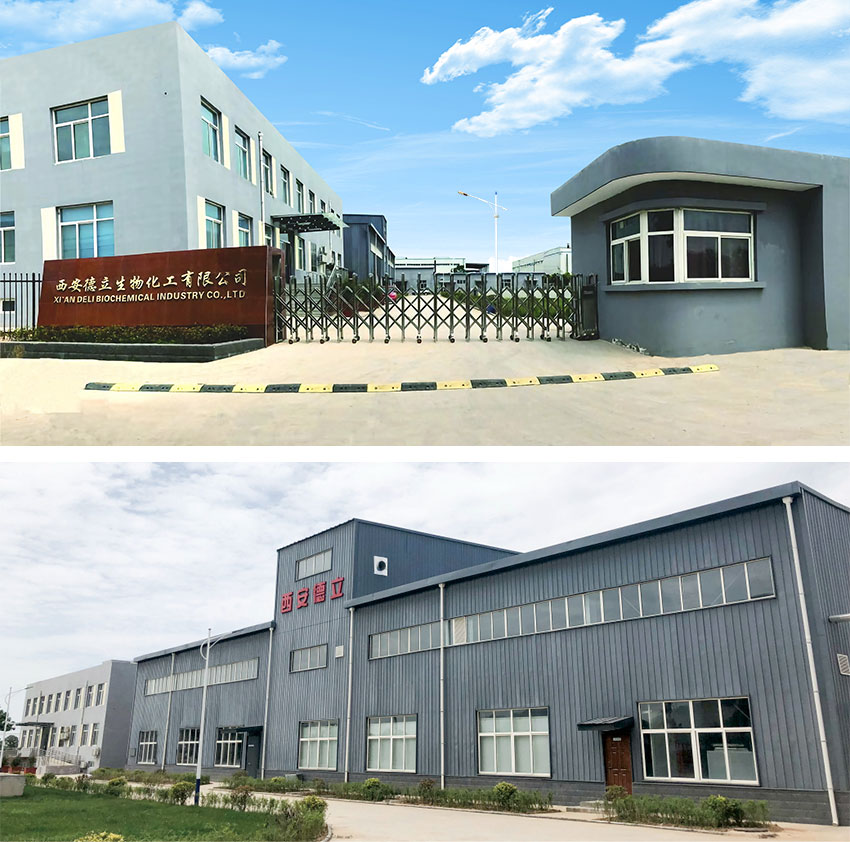 Xi'an Deli Biochemical Industry Co., Ltd.: Ducens Innovation in CyclodExtrin derivationes, ferant pharmaceutical industria