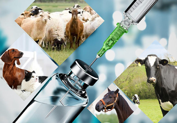 VETERINARIUS Medicines cum Hydroxypropyl